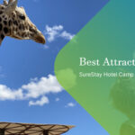 Best Attractions Near SureStay Hotel Camp Verde for Travelers